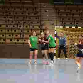 fa frauen 2 - hsg fridingen/m&uuml;hlheim 17.12.2023