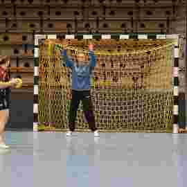fa frauen 2 - hsg fridingen/m&uuml;hlheim 17.12.2023