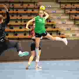 fa frauen 2 - hsg fridingen/m&uuml;hlheim 17.12.2023