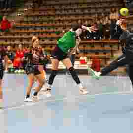 fa frauen 2 - hsg fridingen/m&uuml;hlheim 17.12.2023