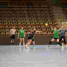 fa frauen 2 - hsg fridingen/m&uuml;hlheim 17.12.2023