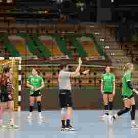 fa frauen 2 - hsg fridingen/m&uuml;hlheim 17.12.2023