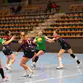 fa frauen 2 - hsg fridingen/m&uuml;hlheim 17.12.2023