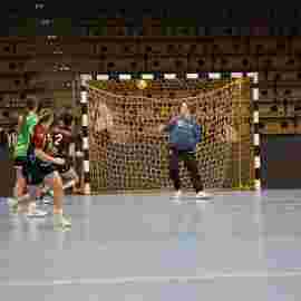 fa frauen 2 - hsg fridingen/m&uuml;hlheim 17.12.2023
