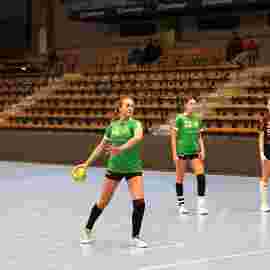 fa frauen 2 - hsg fridingen/m&uuml;hlheim 17.12.2023