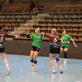 fa frauen 2 - hsg fridingen/m&uuml;hlheim 17.12.2023