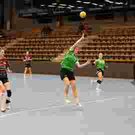 fa frauen 2 - hsg fridingen/m&uuml;hlheim 17.12.2023