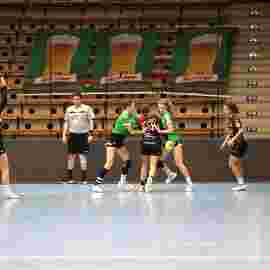 fa frauen 2 - hsg fridingen/m&uuml;hlheim 17.12.2023