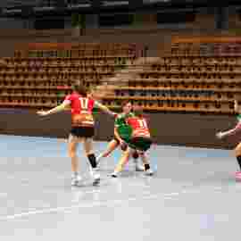 fa frauen 2 - tg n&uuml;rtingen 2 03.12.2023