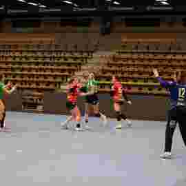 fa frauen 2 - tg n&uuml;rtingen 2 03.12.2023