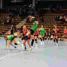 fa frauen 2 - tg n&uuml;rtingen 2 03.12.2023