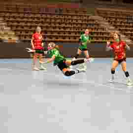 fa frauen 2 - tg n&uuml;rtingen 2 03.12.2023