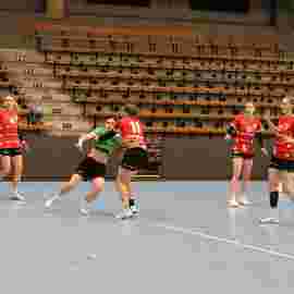 fa frauen 2 - tg n&uuml;rtingen 2 03.12.2023
