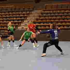 fa frauen 2 - tg n&uuml;rtingen 2 03.12.2023