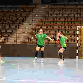 fa frauen 2 - tg n&uuml;rtingen 2 03.12.2023