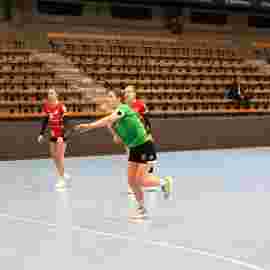 fa frauen 2 - tg n&uuml;rtingen 2 03.12.2023
