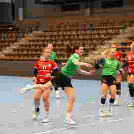 fa frauen 2 - tg n&uuml;rtingen 2 03.12.2023