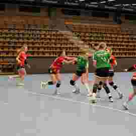 fa frauen 2 - tg n&uuml;rtingen 2 03.12.2023