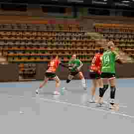 fa frauen 2 - tg n&uuml;rtingen 2 03.12.2023