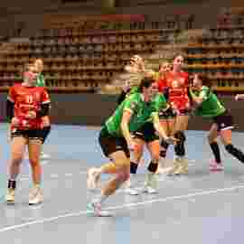 fa frauen 2 - tg n&uuml;rtingen 2 03.12.2023