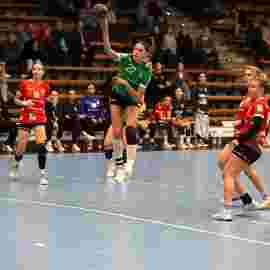 fa frauen 2 - tg n&uuml;rtingen 2 03.12.2023