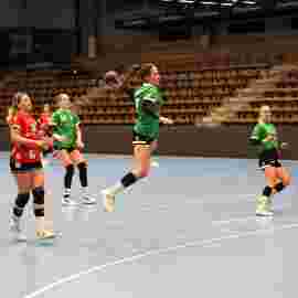 fa frauen 2 - tg n&uuml;rtingen 2 03.12.2023