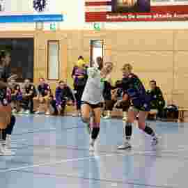 tsv heiningen -  fa frauen 2 01.11.2023
