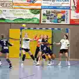 tsv heiningen -  fa frauen 2 01.11.2023