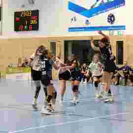 tsv heiningen -  fa frauen 2 01.11.2023
