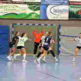 tsv heiningen -  fa frauen 2 01.11.2023