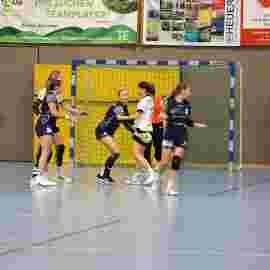 tsv heiningen -  fa frauen 2 01.11.2023