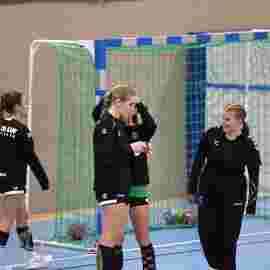 tsv heiningen -  fa frauen 2 01.11.2023