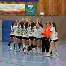 tsv heiningen -  fa frauen 2 01.11.2023