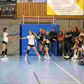 tsv heiningen -  fa frauen 2 01.11.2023