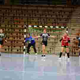 fa frauen 2 - hc erlangen 11.12.2022