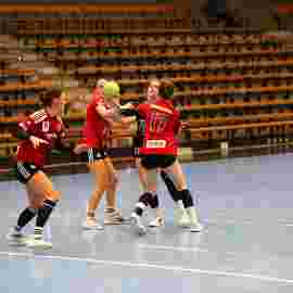 fa frauen 2 - hc erlangen 11.12.2022