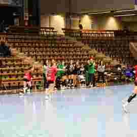 fa frauen 2 - hc erlangen 11.12.2022