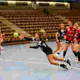 fa frauen 2 - hc erlangen 11.12.2022