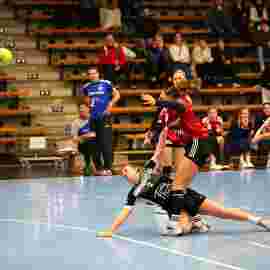 fa frauen 2 - hc erlangen 11.12.2022
