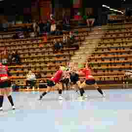fa frauen 2 - hc erlangen 11.12.2022