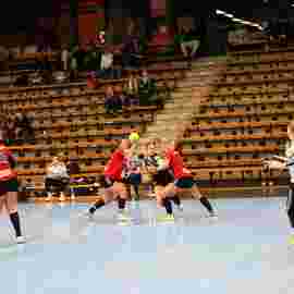 fa frauen 2 - hc erlangen 11.12.2022
