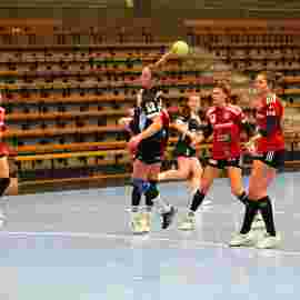 fa frauen 2 - hc erlangen 11.12.2022