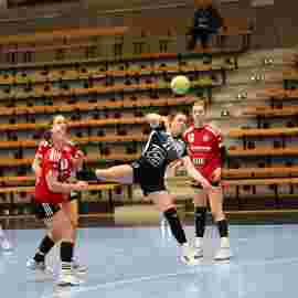 fa frauen 2 - hc erlangen 11.12.2022