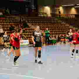 fa frauen 2 - hc erlangen 11.12.2022