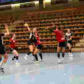 fa frauen 2 - hc erlangen 11.12.2022