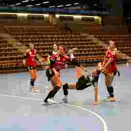 fa frauen 2 - hc erlangen 11.12.2022