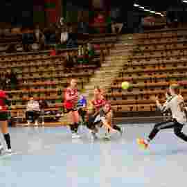 fa frauen 2 - hc erlangen 11.12.2022