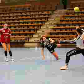fa frauen 2 - hc erlangen 11.12.2022