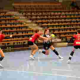 fa frauen 2 - hc erlangen 11.12.2022