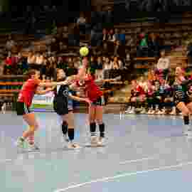 fa frauen 2 - hc erlangen 11.12.2022